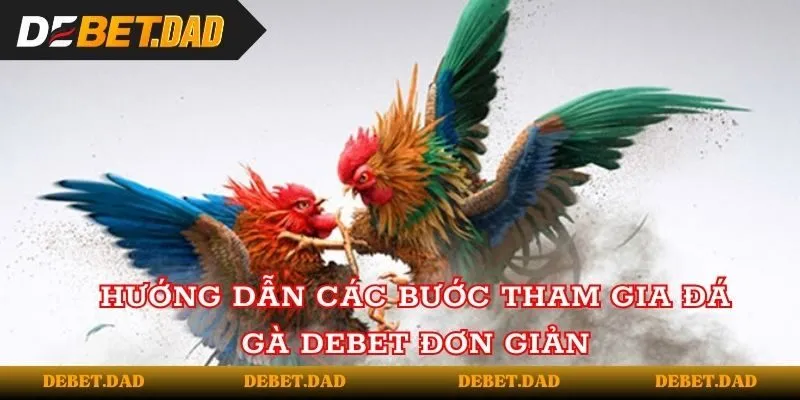 Hướng dẫn các bước tham gia đá gà tại Debet đơn giản